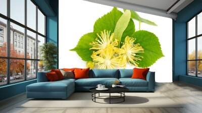 fresh lime flowers Wall mural