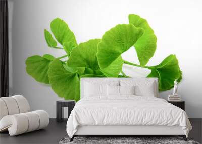 Gingko biloba leaves on white background Wall mural