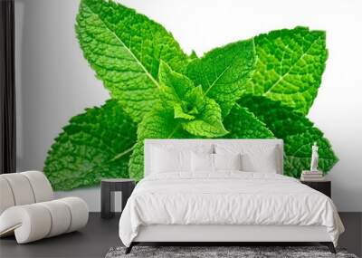 Mint leaf close up Wall mural