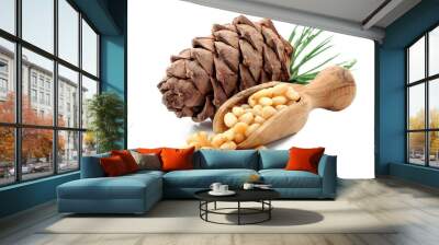 Pine nuts and cedar cones with branches Wall mural