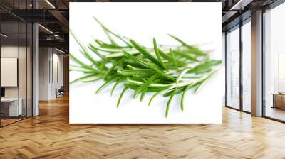 Twig of rosemary Wall mural