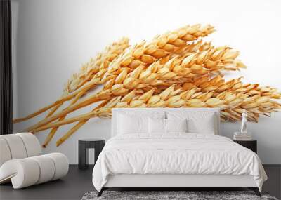 wheat isolated Wall mural