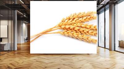 wheat isolated Wall mural