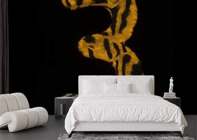 Furry Tiger Themed Font Number 3 Wall mural