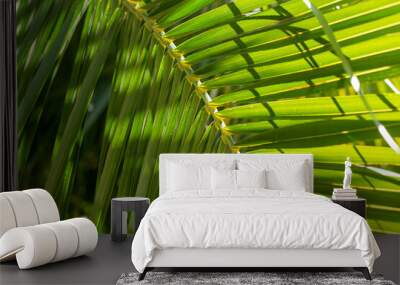 palm tree leaf Wall mural