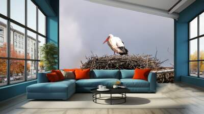 white stork in the nest Wall mural