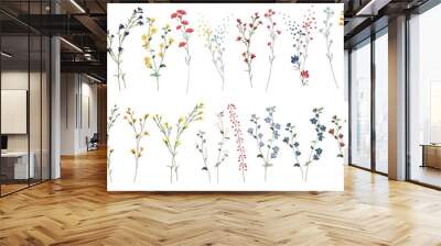 Big set botanic blossom floral elements. Branches, leaves, herbs, wild plants, flowers. Garden, meadow, field collection leaf, foliage, branches. Bloom vector illustration isolated on white background Wall mural