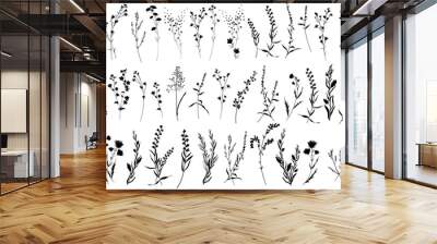 Big set silhouettes botanic blossom floral elements. Branches, leaves, herbs, wild plants, flowers. Garden, meadow, feild collection leaf, foliage. Vector illustration isolated on white background Wall mural