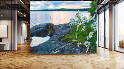 wild flowers in sunset Wall mural