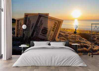 Three dollar bills are buried in sand on sandy beach near sea at sunset dawn Wall mural