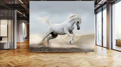 arab horse Wall mural