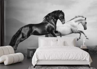 horses run Wall mural