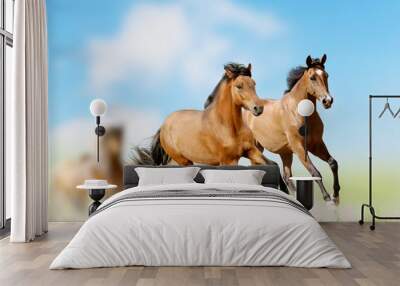 horses Wall mural