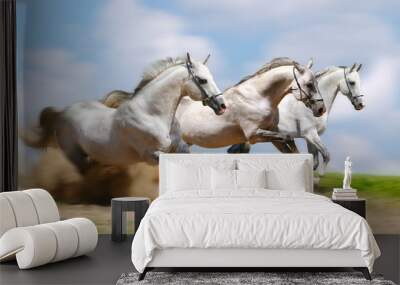 three stallion runnig fast Wall mural