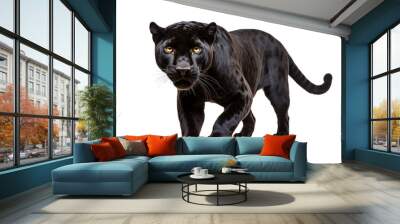 a black panther walking on a white background Wall mural