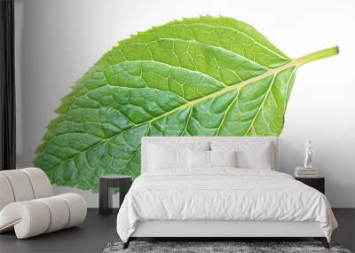 a close up of a leaf Wall mural