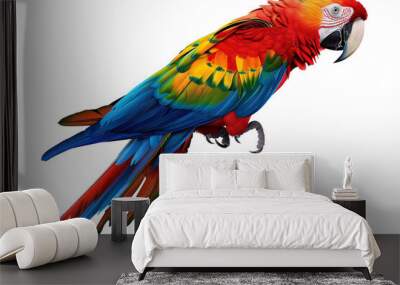 a colorful parrot with a white background Wall mural