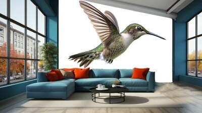 a hummingbird flying in the air Wall mural