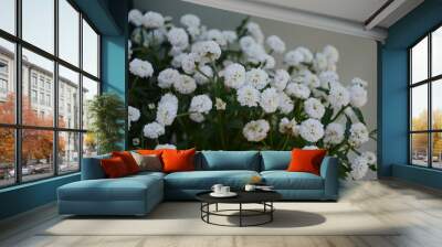 Achillea ptarmica. Perennial white flowers bloom in the garden all summer. Wall mural