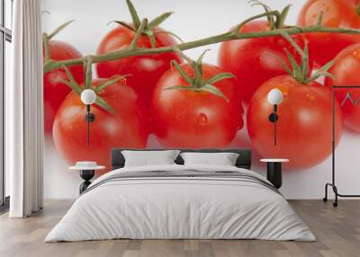 red tomatoes Wall mural