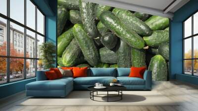 green cucumers Wall mural