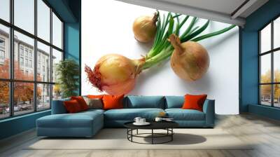 onions Wall mural