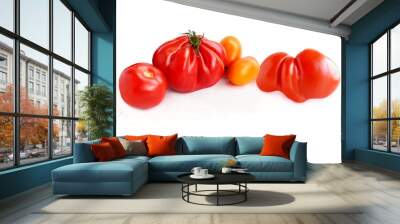 tomatoes on a white Wall mural