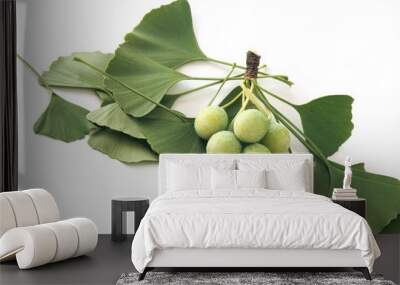 twig of ginkgo biloba tree Wall mural