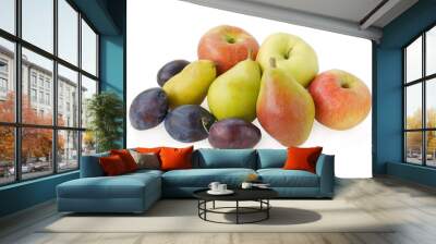 very tasty fruits from orchard at autumn Wall mural