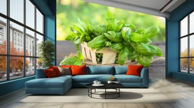 bunch of green basil on natural. Fresh basil leafs  Wall mural