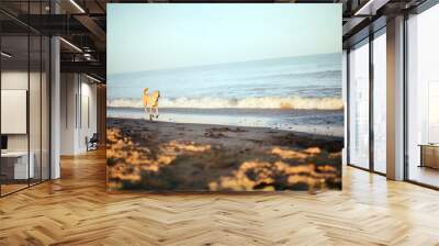 Dog running on the beach Wall mural