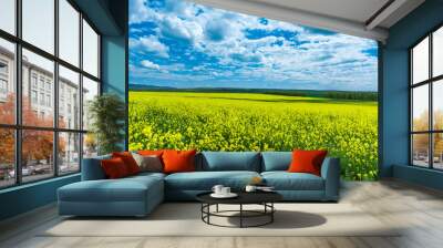 Field of flowering rapeseed against a cloudy sky with clouds Wall mural