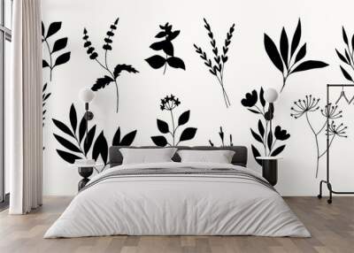 Flat vector botanical illustration. Herbs and plants Wall mural