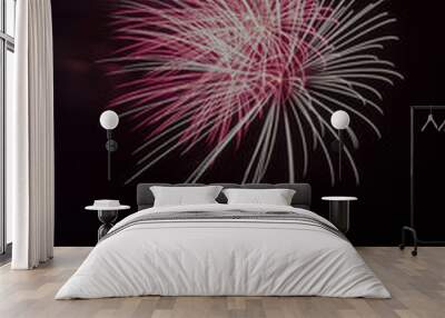 fuegos artificiales, Fireworks Wall mural