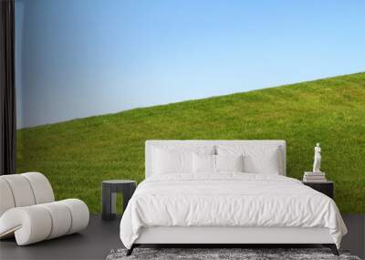 Green grass slope against a clean blue sky Wall mural