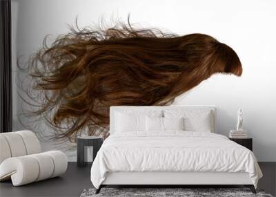 hair isolated Wall mural