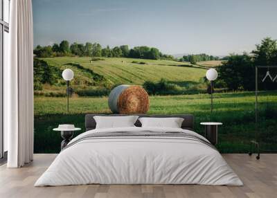 hay rollers. grass. field harvesting Wall mural