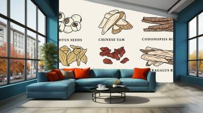 Line art Chinese herbs set Wall mural