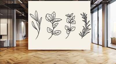 Line art herbs collection. Botanical illustration Wall mural