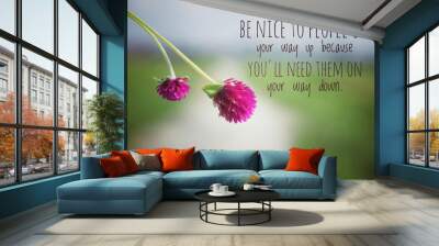 Inspirational quote - Be nice to people on your way up because you will need them on your way down. With blurry image of  two cute pink flowers hanging on smooth background of rural view.  Wall mural