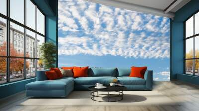 Sky panorama with cirrus clouds on a sunny day. Beautiful cirrus cloud. Wall mural