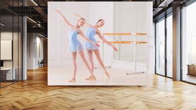 Young ballerinas having rehearsal at studio. Row of happy young ballerinas practicing at ballet barre, focus on first girl. Wall mural