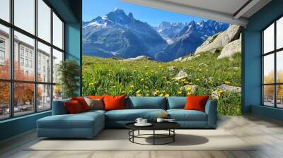 Mountain panorama on the way to Lac Blanc on a sunny summer morning, France Wall mural