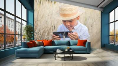 Portrait of child boy playing online games with smartphone, sitting outdoor play with phone in hand in wheat field Wall mural