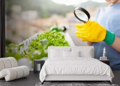 Cute preschooler boy is growing microgreens plants in a box on the balcony. Child is watching plants for magnifier on sunny summer day. Kitchen garden on your balcony. Wall mural