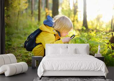 Preschooler boy is exploring nature with magnifying glass. Little child is looking on leaf of fern with magnifier. Summer vacation for inquisitive kids in forest. Hiking. Boy-scout Wall mural