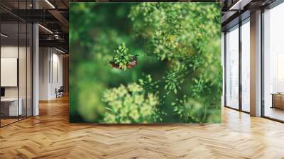 Two red beetles are sitting on a branch in the green grass Wall mural