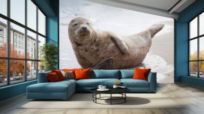 Smile like a baby seal Wall mural