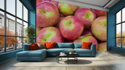 A display of red ripe  Macoun apples - a sweet crisp eating apple from the Hudson Valley of New York State. Closeup.. Wall mural