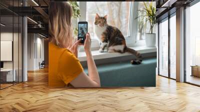 Young woman sitting on sofa taking photo of cat on window sill. Wall mural